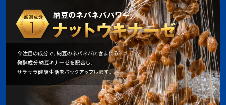 ナットウキナーゼ